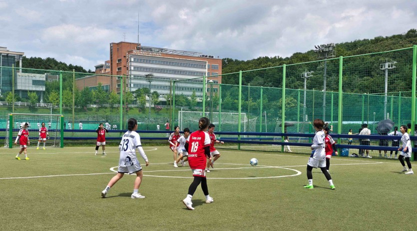 5ed65c9bf6ace6fd13150dda0bea8d55_1785141702_7717.jpg